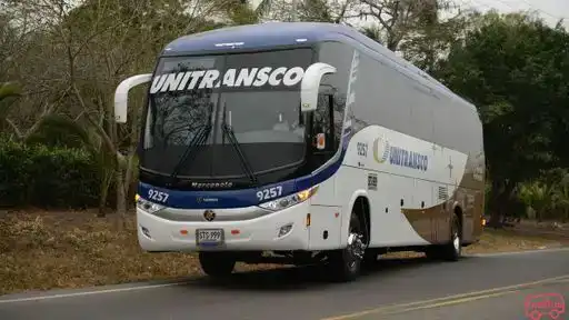 Unitransco Bus-Front Image
