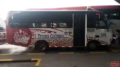 Transcalima Bus-Side Image