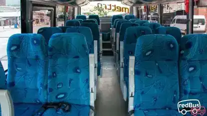 Expreso Palmira Bus-Seats layout Image