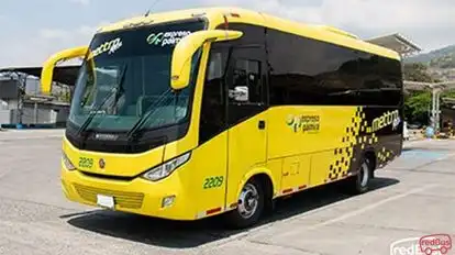 Expreso Palmira Bus-Front Image