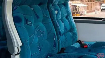 Expreso Palmira Bus-Seats Image