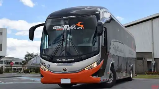 Flota Magdalena Bus-Front Image