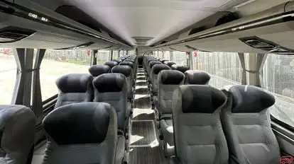 Flota Magdalena Bus-Seats Image