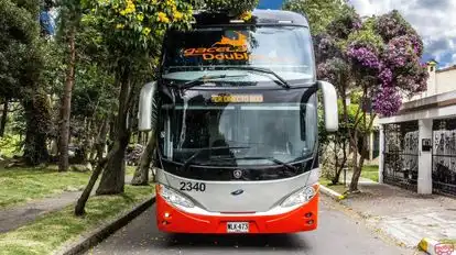 Flota Magdalena Bus-Front Image