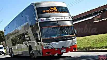 Flota Magdalena Bus-Front Image