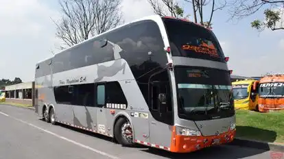 Flota Magdalena Bus-Side Image