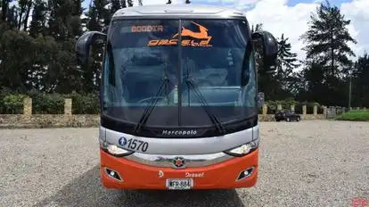 Flota Magdalena Bus-Front Image
