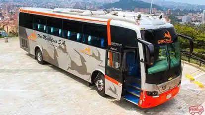 Flota Magdalena Bus-Side Image