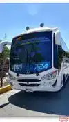 Transportes Purificacion Bus-Front Image