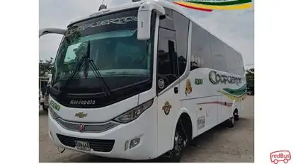 Coopuertos Bus-Front Image