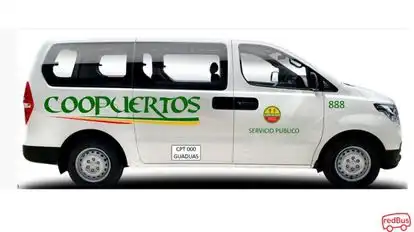 Coopuertos Bus-Side Image