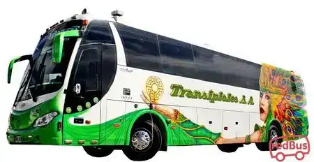 Transipiales Bus-Front Image