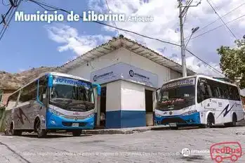 Sotrauraba Bus-Seats layout Image