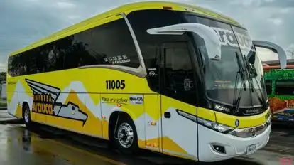 Arauca Bus-Side Image
