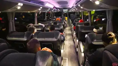 Rápido Ochoa Bus-Seats layout Image