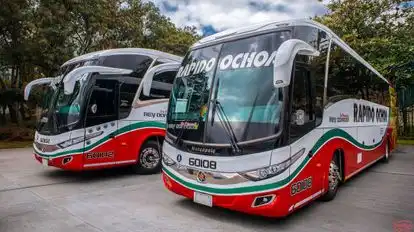 Rápido Ochoa Bus-Side Image