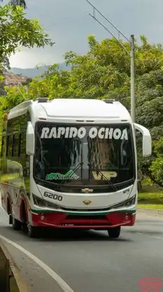 Rápido Ochoa Bus-Front Image
