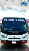 Rápido Ochoa Bus-Front Image