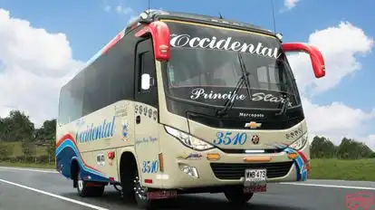 Flota Occidental Bus-Front Image