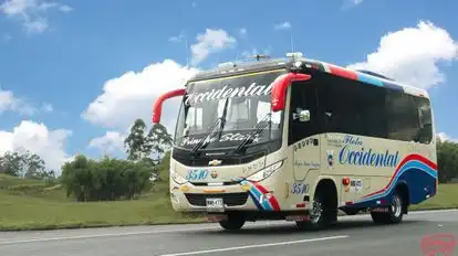 Flota Occidental Bus-Side Image