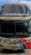 Flota Occidental Bus-Front Image