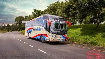 Flota Occidental Bus-Front Image