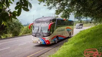 Flota Occidental Bus-Side Image