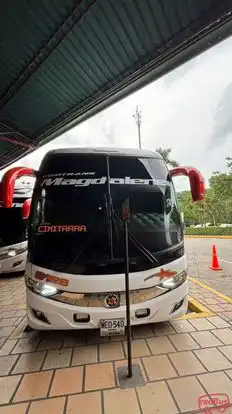 Cootransmagdalena Bus-Front Image