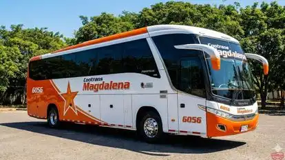 Cootransmagdalena Bus-Side Image