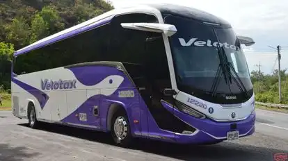 Velotax Bus-Front Image