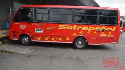 Sotrapeñol Bus-Side Image