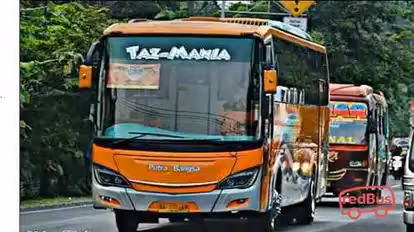 Putra Bangsa Bus-Front Image