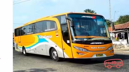 Putra Bangsa Bus-Side Image