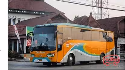 Putra Bangsa Bus-Side Image