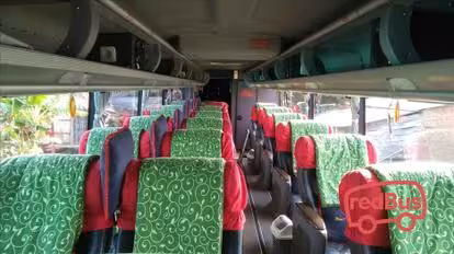 Test BO - New Shantika Jepara Bus-Seats Image