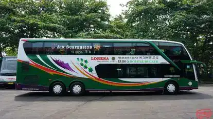 LORENA Bus-Side Image