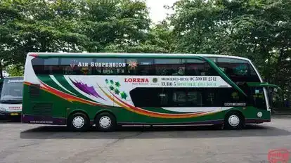 LORENA Bus-Side Image