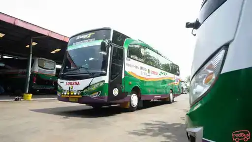 LORENA Bus-Front Image