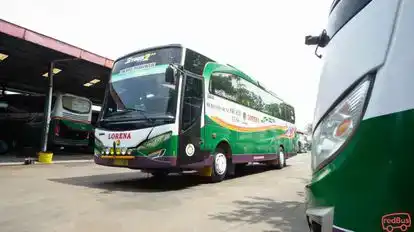 LORENA Bus-Front Image