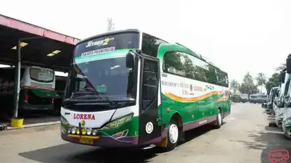 LORENA Bus-Front Image