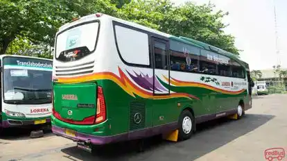 LORENA Bus-Side Image