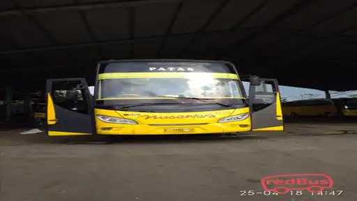 Nusantara Transindo Bus-Front Image