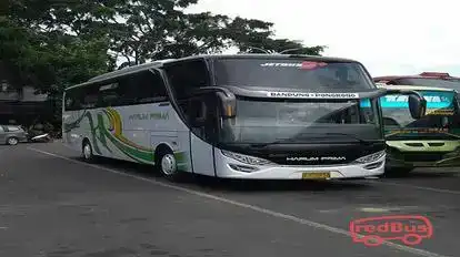 PO Harum Prima Bus-Front Image