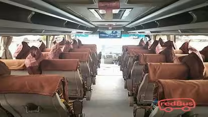 PO Harum Prima Bus-Seats layout Image