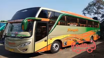 PO Menggala  Bus-Front Image