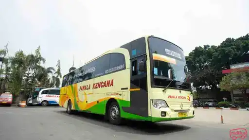 Pahala Kencana Bus-Front Image