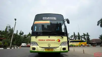 Pahala Kencana Bus-Front Image