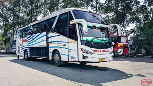 Pahala Kencana Bus-Front Image