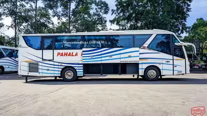 Pahala Kencana Bus-Side Image