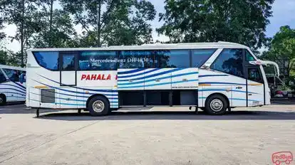 Pahala Kencana Bus-Side Image